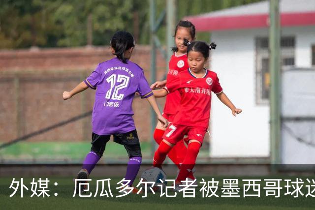 外媒：厄瓜多尔记者被墨西哥球迷攻击 双方球迷赛后发生斗殴