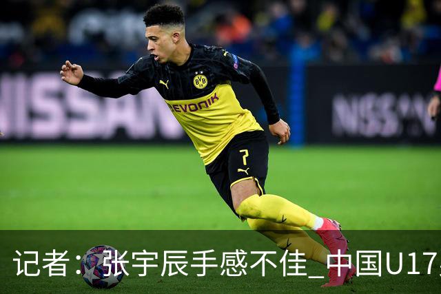 记者：张宇辰手感不佳 中国U17男篮的远投火力没了 陈昱休没篮