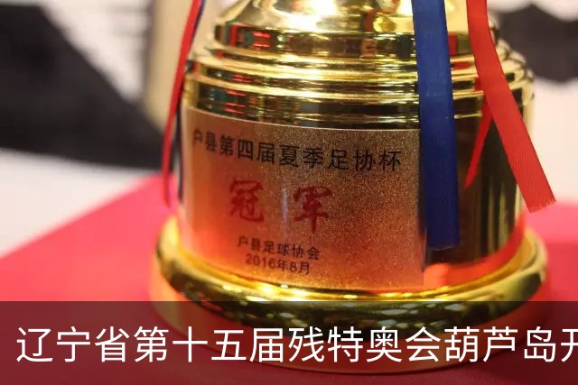 辽宁省第十五届残特奥会葫芦岛开赛 356名健儿参与角逐
